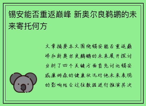 锡安能否重返巅峰 新奥尔良鹈鹕的未来寄托何方