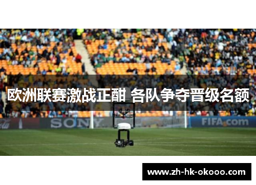 欧洲联赛激战正酣 各队争夺晋级名额